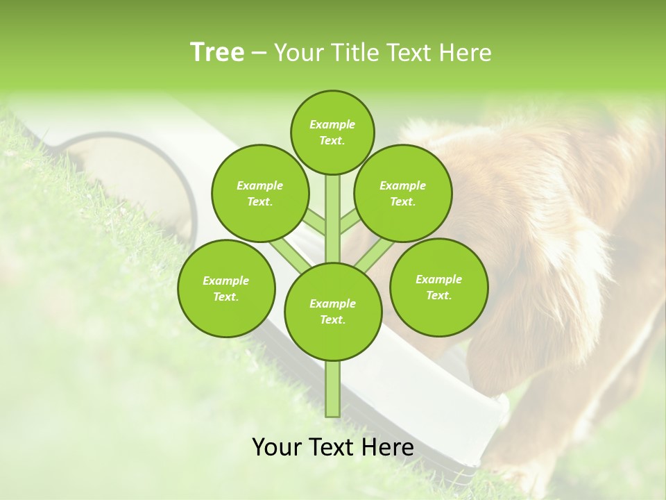 Doggie Lifestyle Dog PowerPoint Template