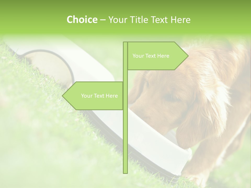 Doggie Lifestyle Dog PowerPoint Template