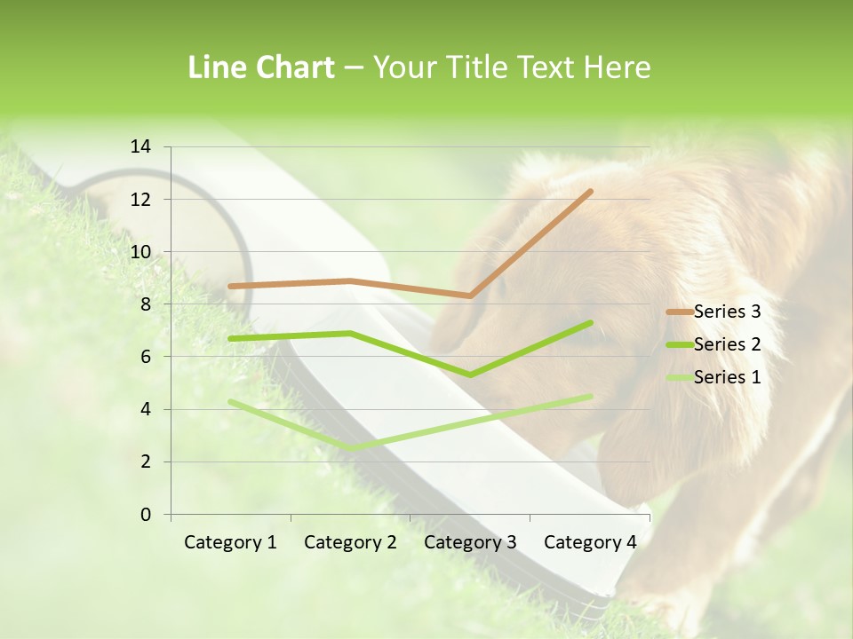 Doggie Lifestyle Dog PowerPoint Template