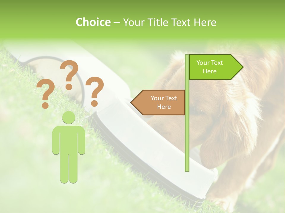 Doggie Lifestyle Dog PowerPoint Template