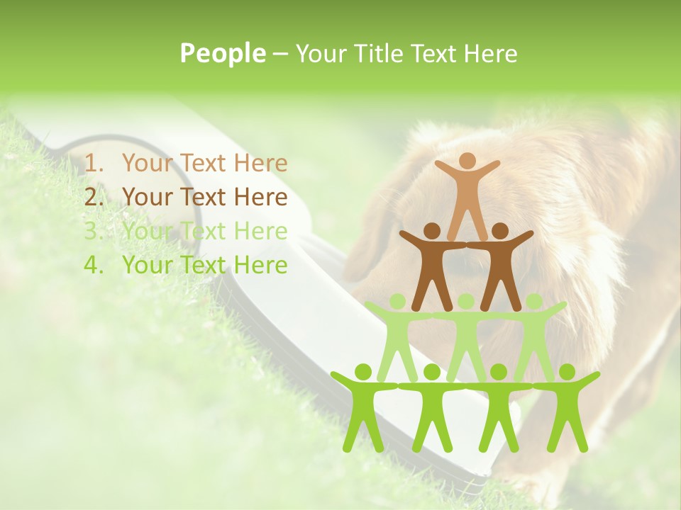 Doggie Lifestyle Dog PowerPoint Template