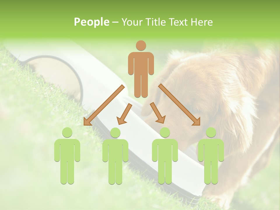 Doggie Lifestyle Dog PowerPoint Template