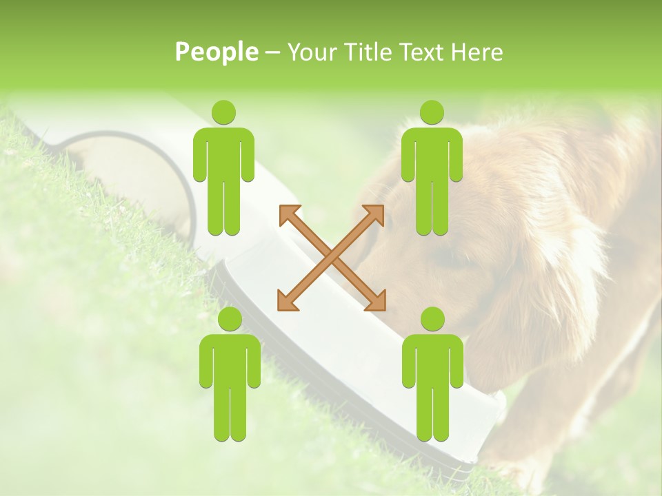 Doggie Lifestyle Dog PowerPoint Template