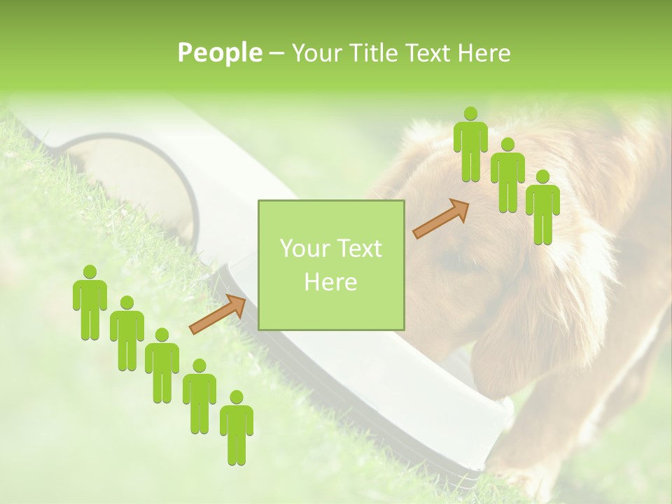 Doggie Lifestyle Dog PowerPoint Template