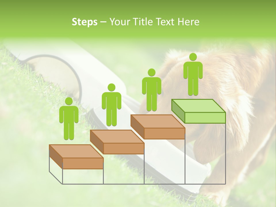 Doggie Lifestyle Dog PowerPoint Template