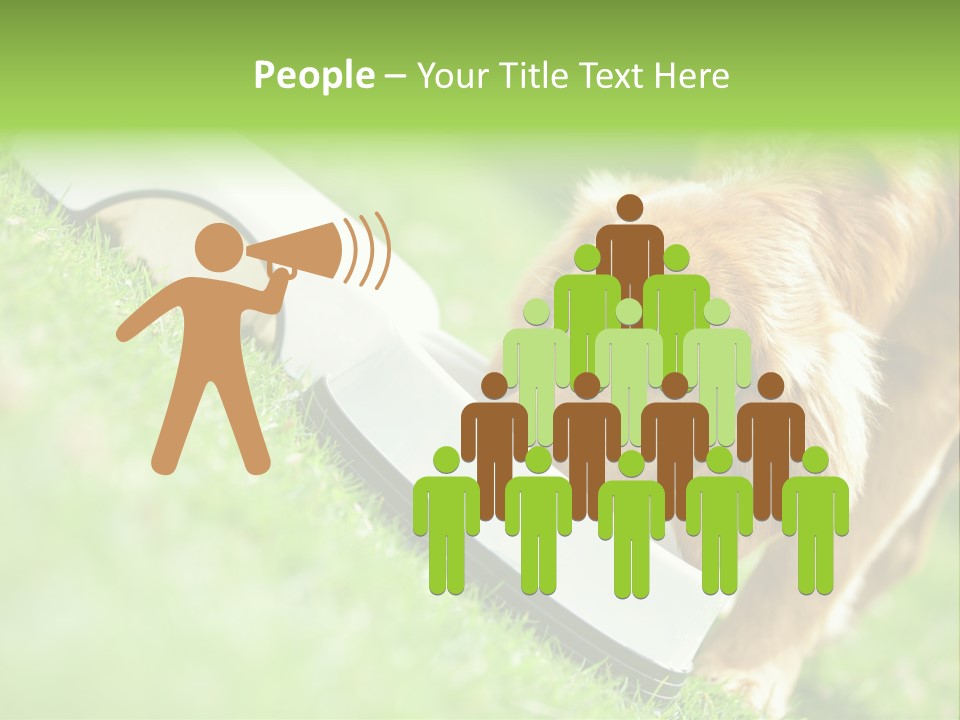 Doggie Lifestyle Dog PowerPoint Template