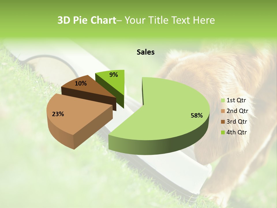 Doggie Lifestyle Dog PowerPoint Template