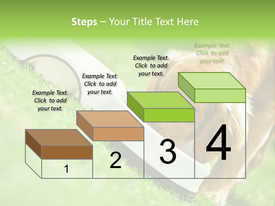 Doggie Lifestyle Dog PowerPoint Template