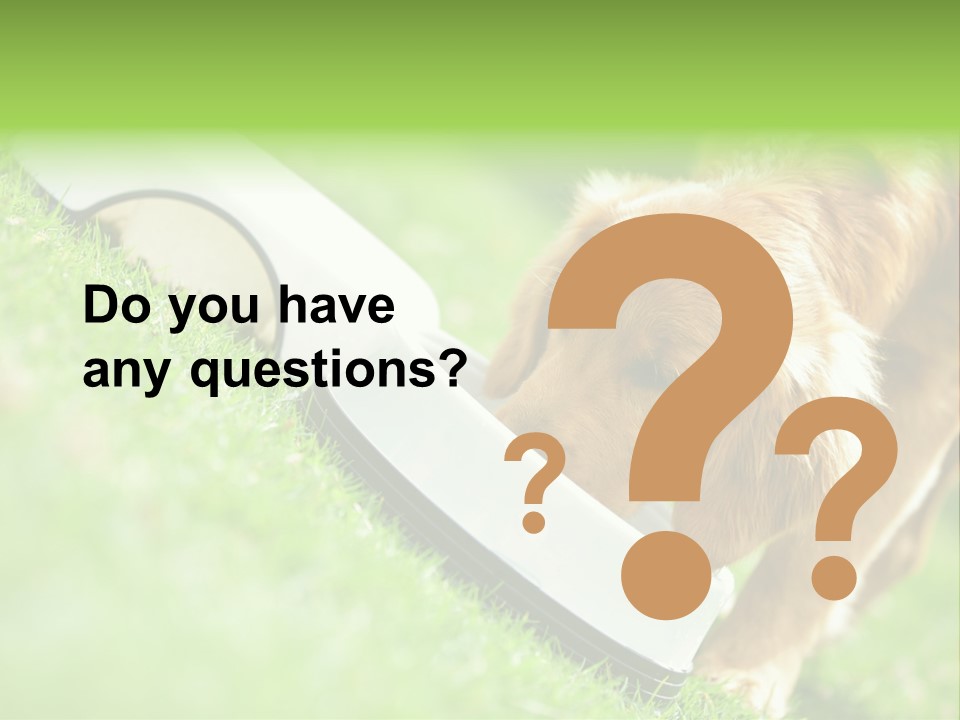 Doggie Lifestyle Dog PowerPoint Template