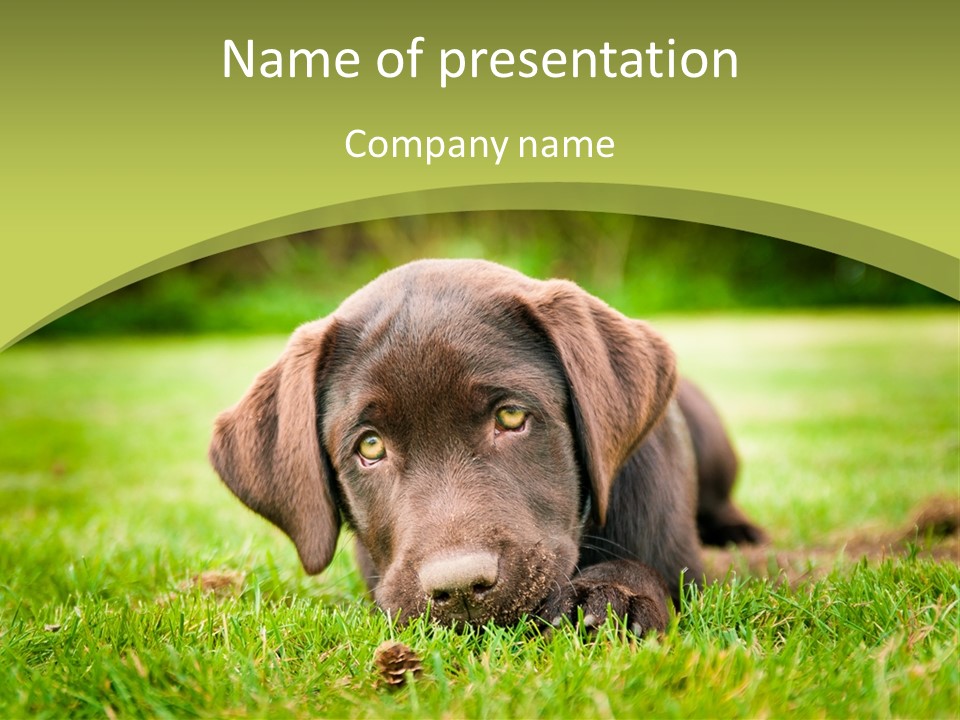 Summer Brown Face PowerPoint Template