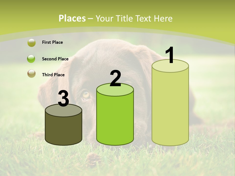 Summer Brown Face PowerPoint Template