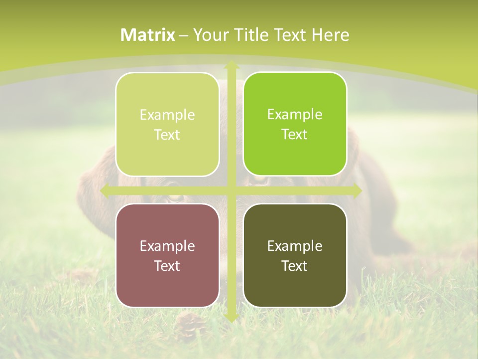 Summer Brown Face PowerPoint Template