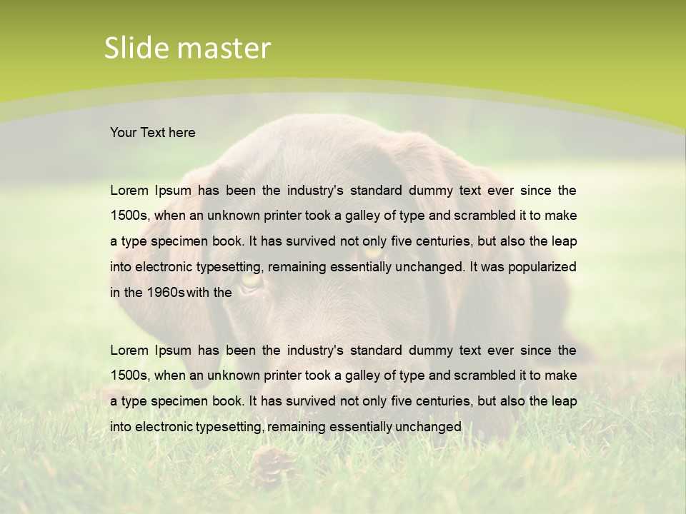 Summer Brown Face PowerPoint Template