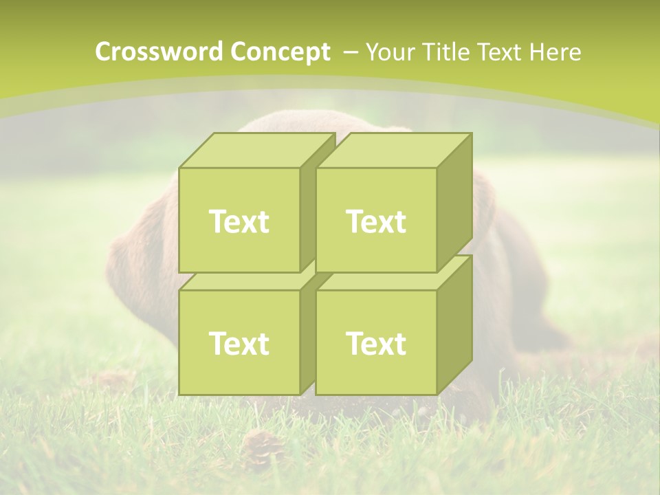 Summer Brown Face PowerPoint Template