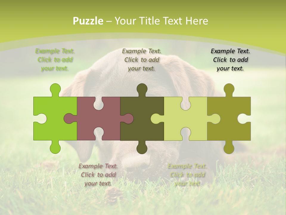 Summer Brown Face PowerPoint Template