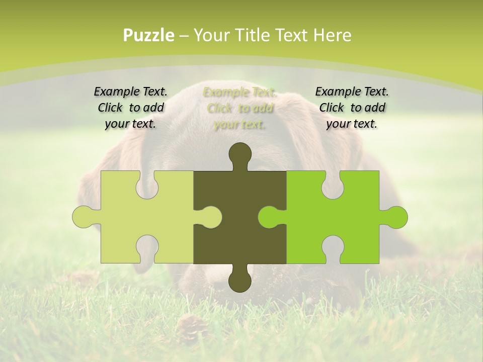 Summer Brown Face PowerPoint Template