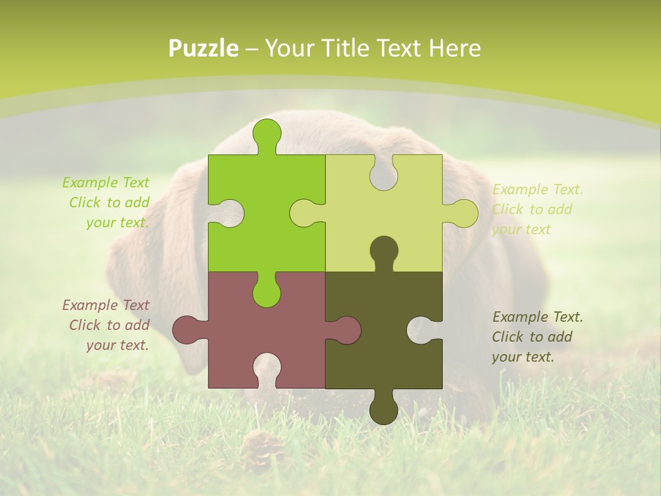 Summer Brown Face PowerPoint Template