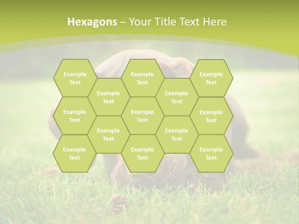 Summer Brown Face PowerPoint Template