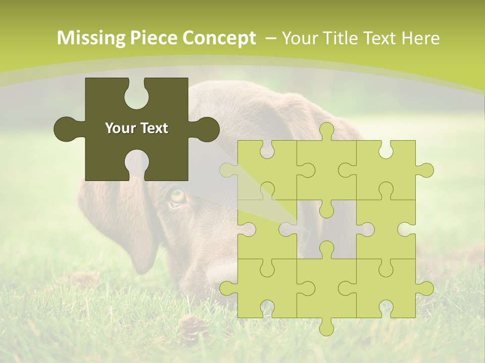 Summer Brown Face PowerPoint Template