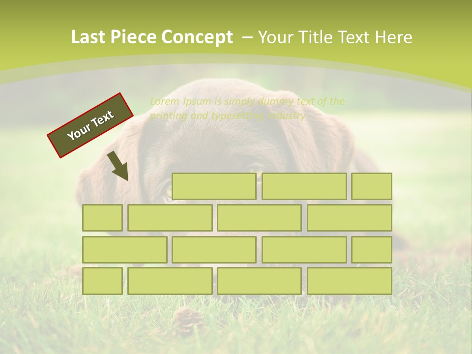 Summer Brown Face PowerPoint Template