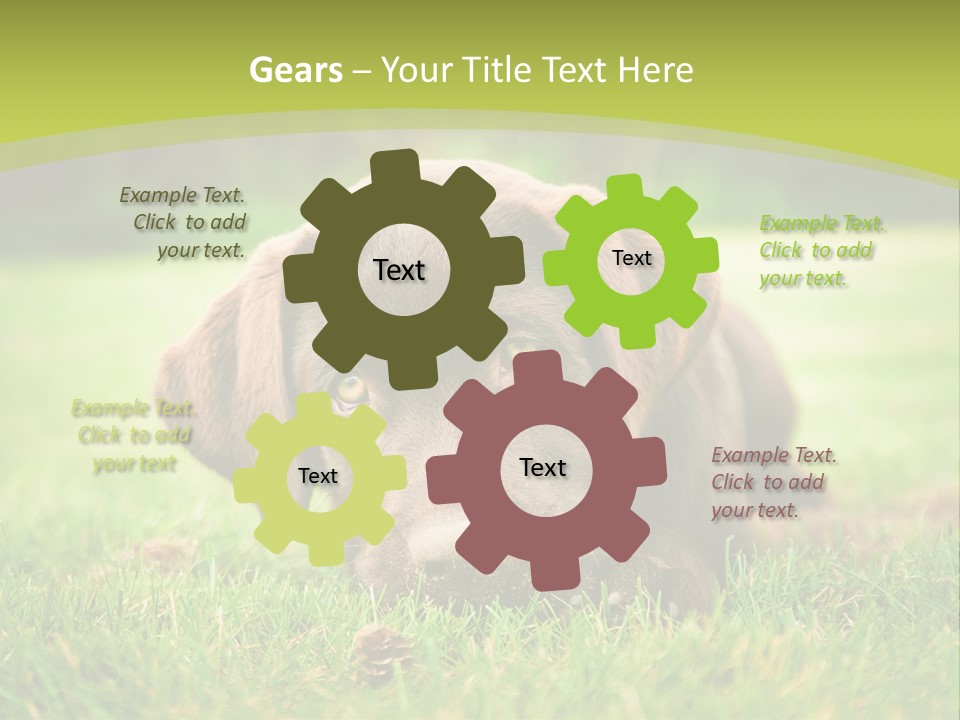 Summer Brown Face PowerPoint Template