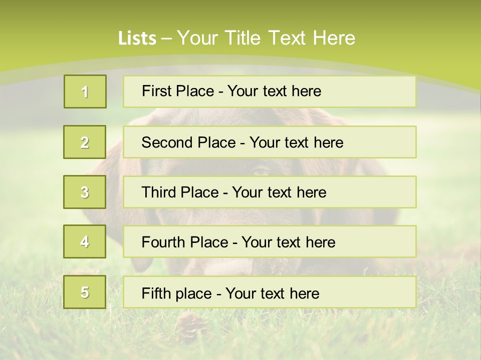 Summer Brown Face PowerPoint Template