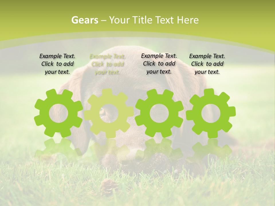 Summer Brown Face PowerPoint Template