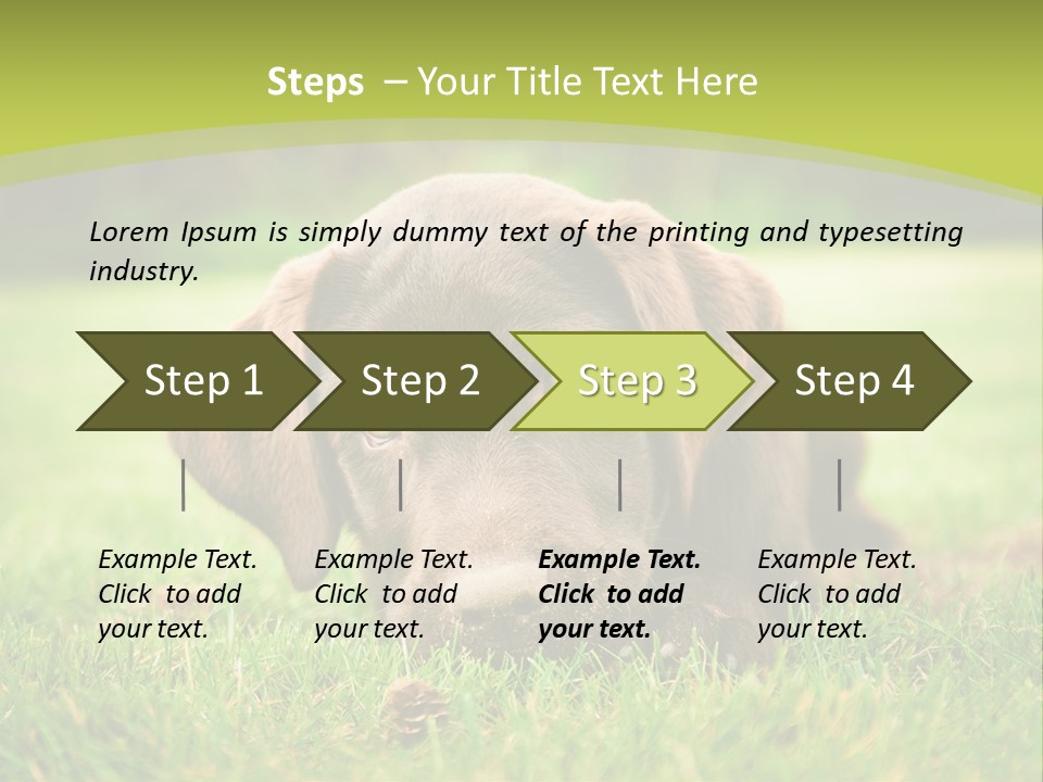 Summer Brown Face PowerPoint Template