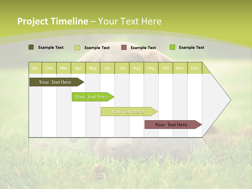 Summer Brown Face PowerPoint Template