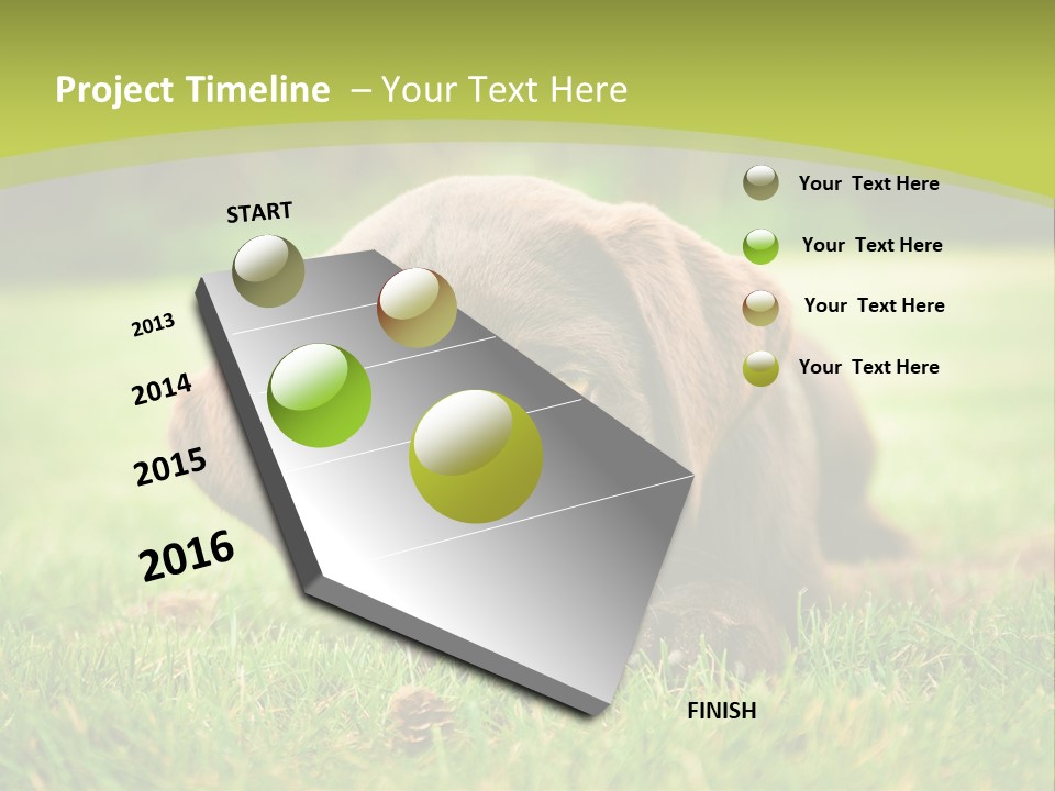 Summer Brown Face PowerPoint Template