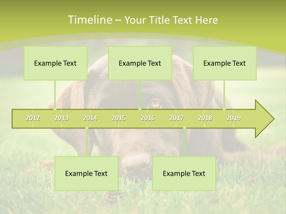 Summer Brown Face PowerPoint Template