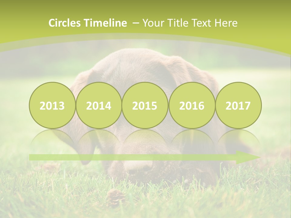 Summer Brown Face PowerPoint Template