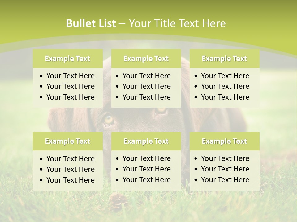 Summer Brown Face PowerPoint Template