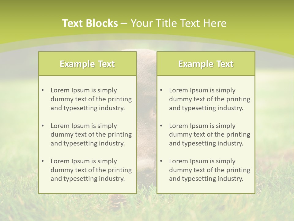 Summer Brown Face PowerPoint Template