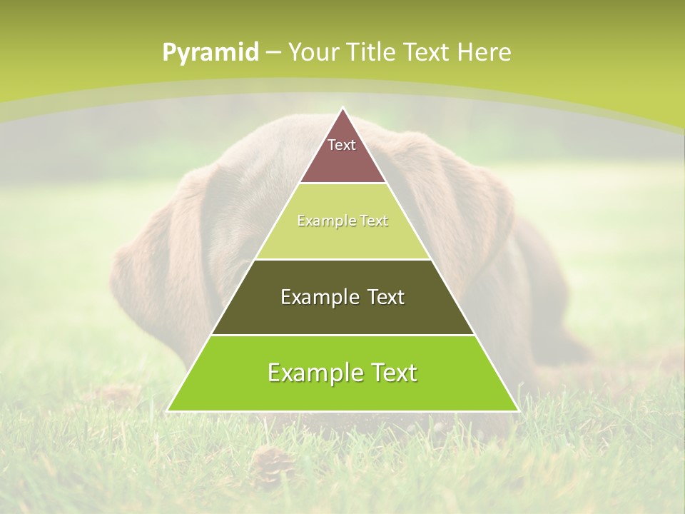 Summer Brown Face PowerPoint Template