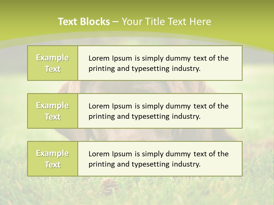 Summer Brown Face PowerPoint Template