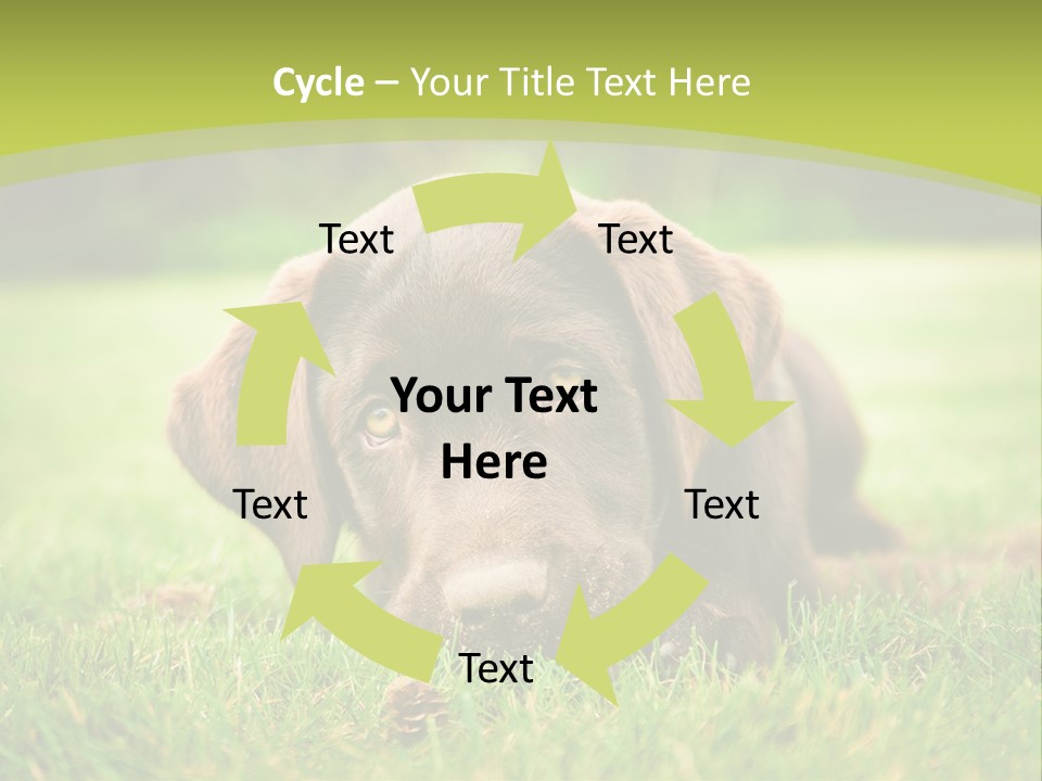 Summer Brown Face PowerPoint Template