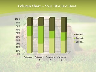 Summer Brown Face PowerPoint Template