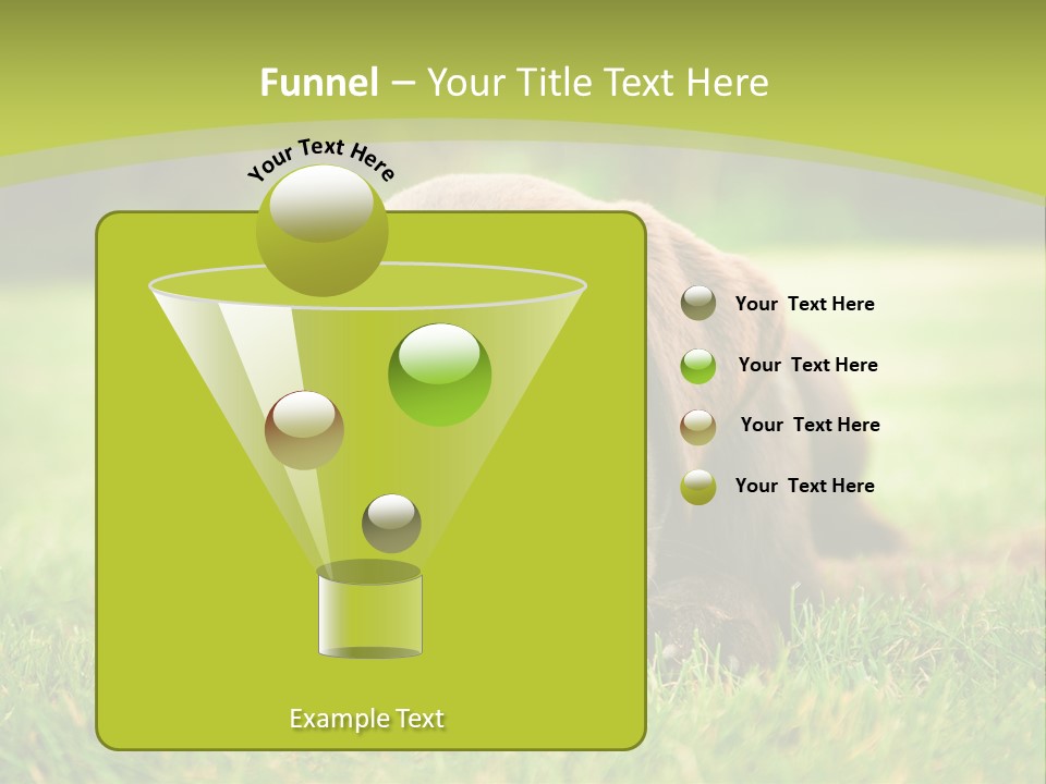 Summer Brown Face PowerPoint Template