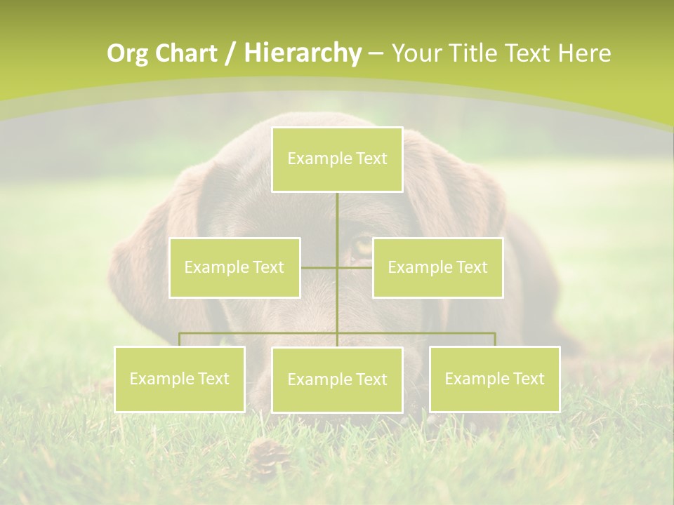 Summer Brown Face PowerPoint Template