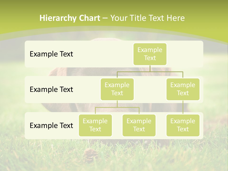 Summer Brown Face PowerPoint Template