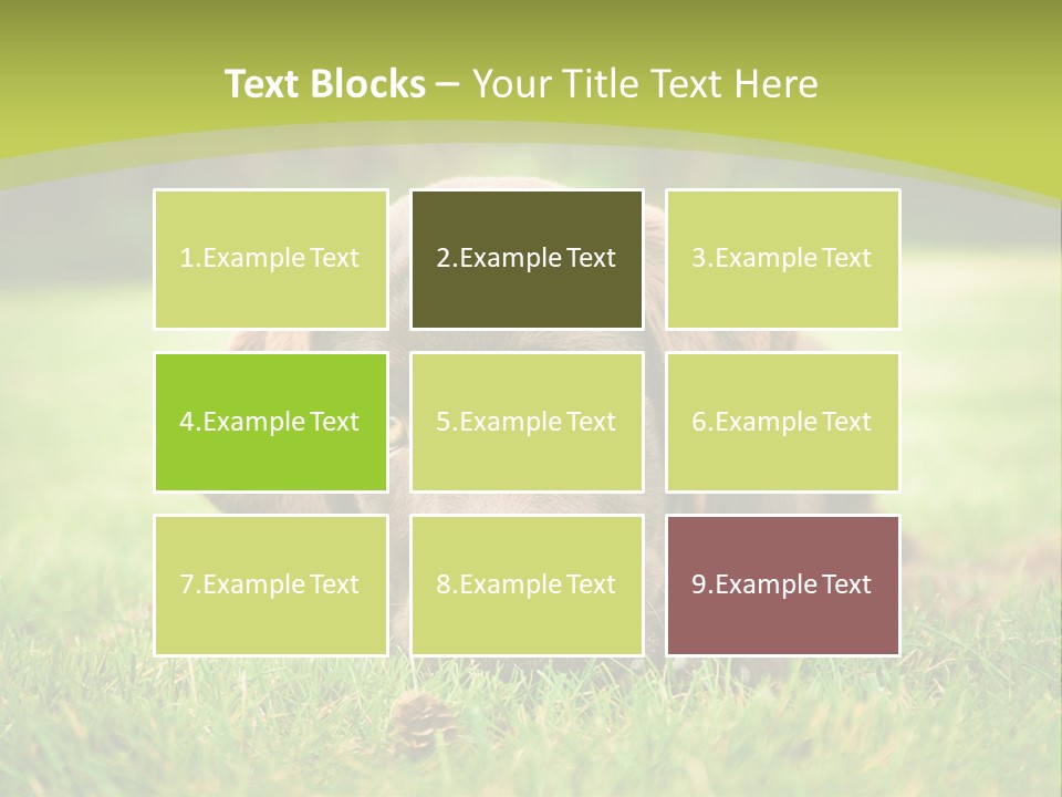 Summer Brown Face PowerPoint Template