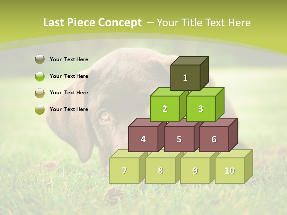 Summer Brown Face PowerPoint Template