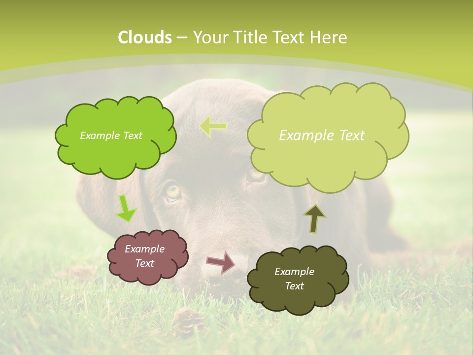 Summer Brown Face PowerPoint Template