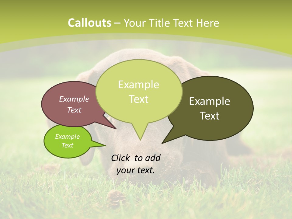 Summer Brown Face PowerPoint Template