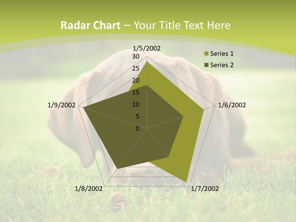 Summer Brown Face PowerPoint Template