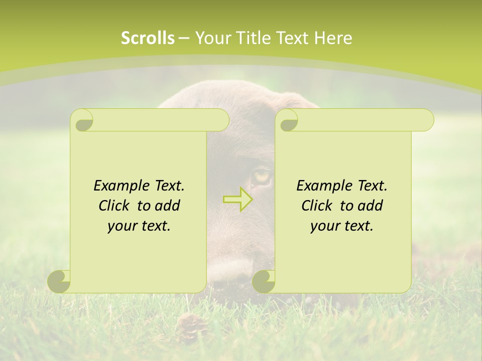 Summer Brown Face PowerPoint Template