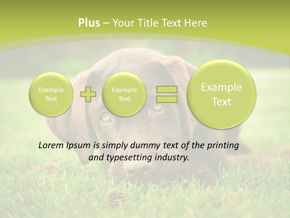 Summer Brown Face PowerPoint Template