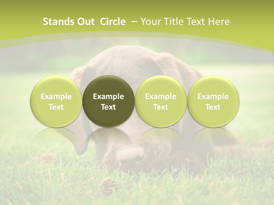 Summer Brown Face PowerPoint Template