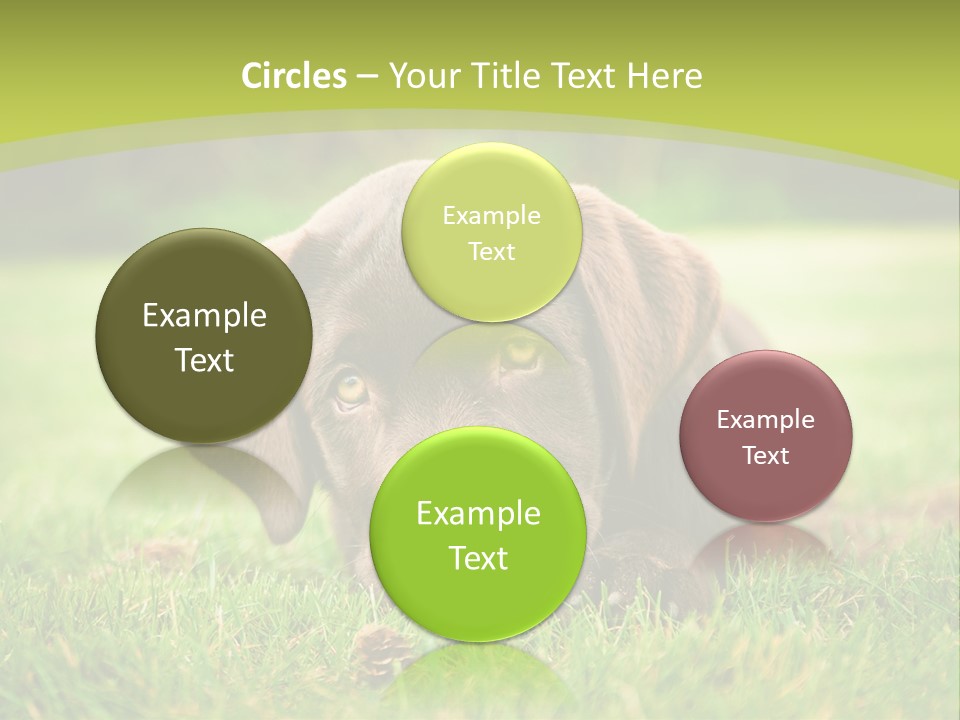 Summer Brown Face PowerPoint Template